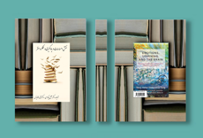 تصویر از نقش احساسات در یادگیری و عملکرد مغز